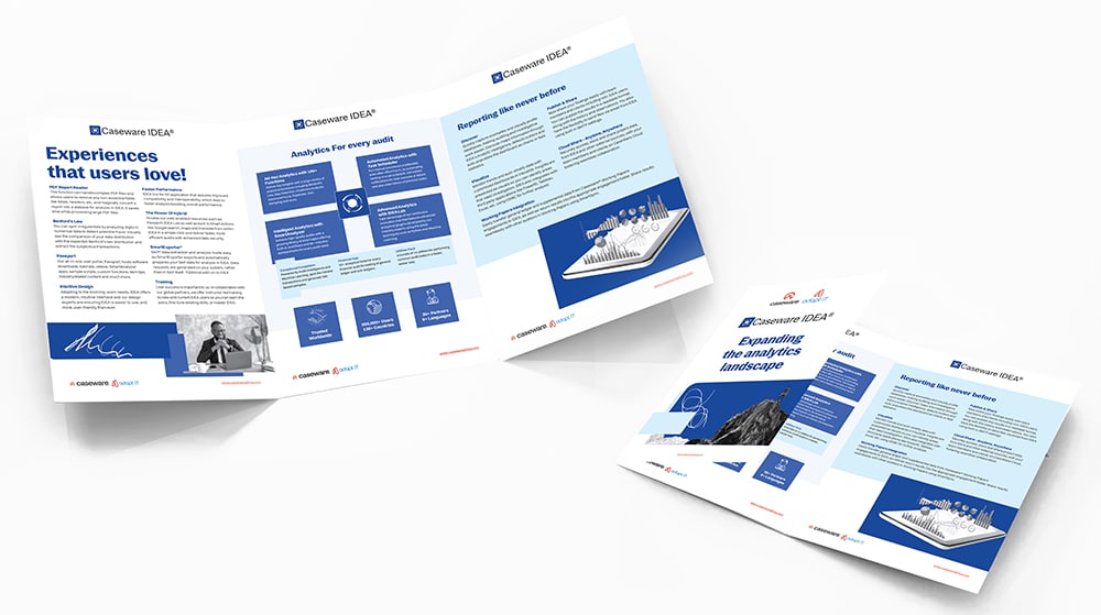Caseware Africa Brochure Design