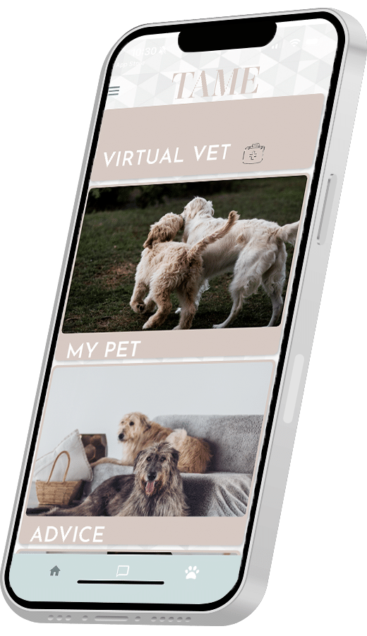 TAME Vet app UI UX design
