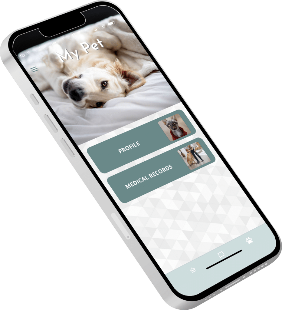 TAME Vet app UI UX design